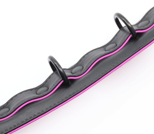 Berlin Baby - Padded Collar And Lead - Black And Pink - divasdenau