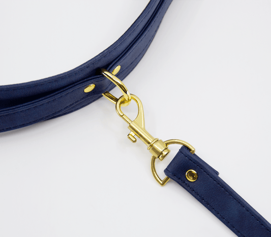 Faux Leather Collar And Lead - divasdenau