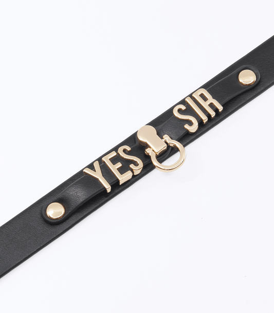 'Yes Sir' Collar - Gold Hardware - divasdenau