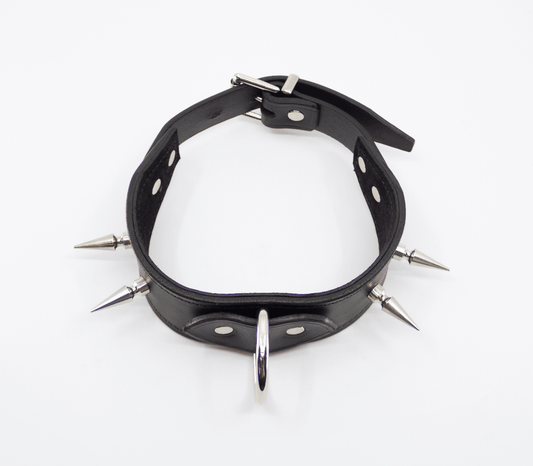 Long Spiked Leather Collar - divasdenau