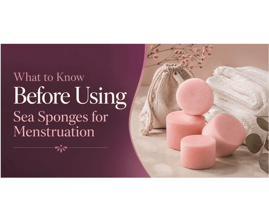 What to Know Before Using Sea Sponges for Menstruation - divasdenau