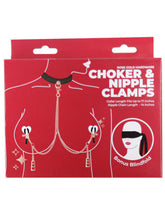 Load image into Gallery viewer, Choker &amp; Nipple Clamps - Rose Gold