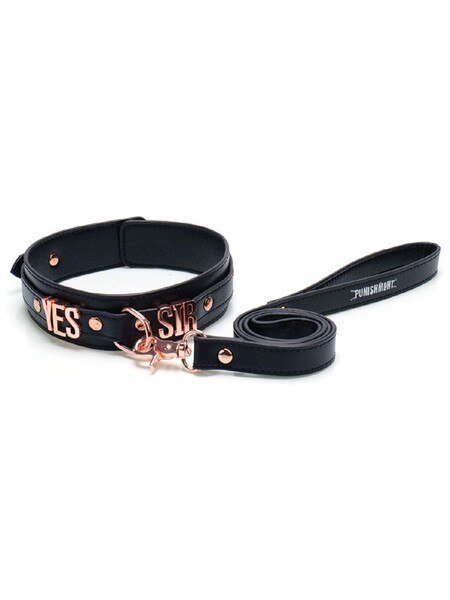 Yes Sir - Collar & Leash Rose Gold - divasdenau