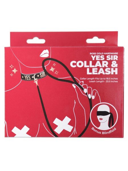 Yes Sir - Collar & Leash Rose Gold - divasdenau