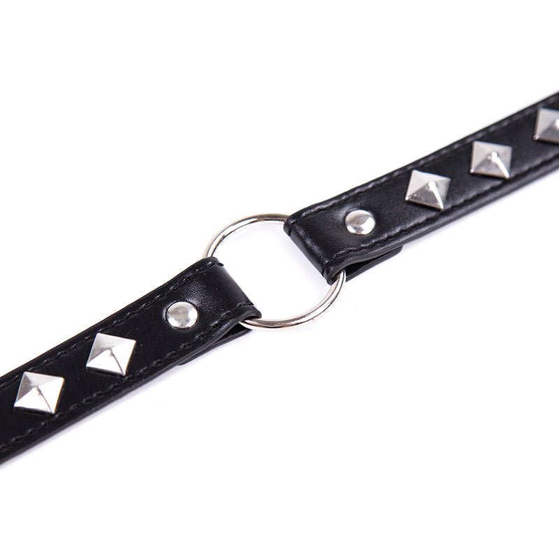 Ring Connect PU Leather Collar - Black - divasdenau