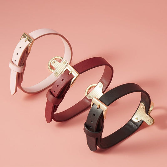 Metal Leash Strict Leather Collar - Black / Red / Pink - divasdenau