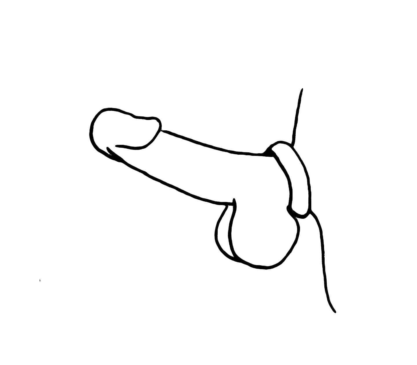 Silicone Fat Boy Cock Ring - Black - divasdenau