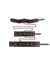 Load image into Gallery viewer, Sportsheets - Chained And Tamed