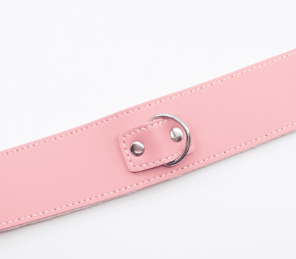 Berlin Baby - Faux Leather Collar & Lead with Fur Lining - Pink - divasdenau