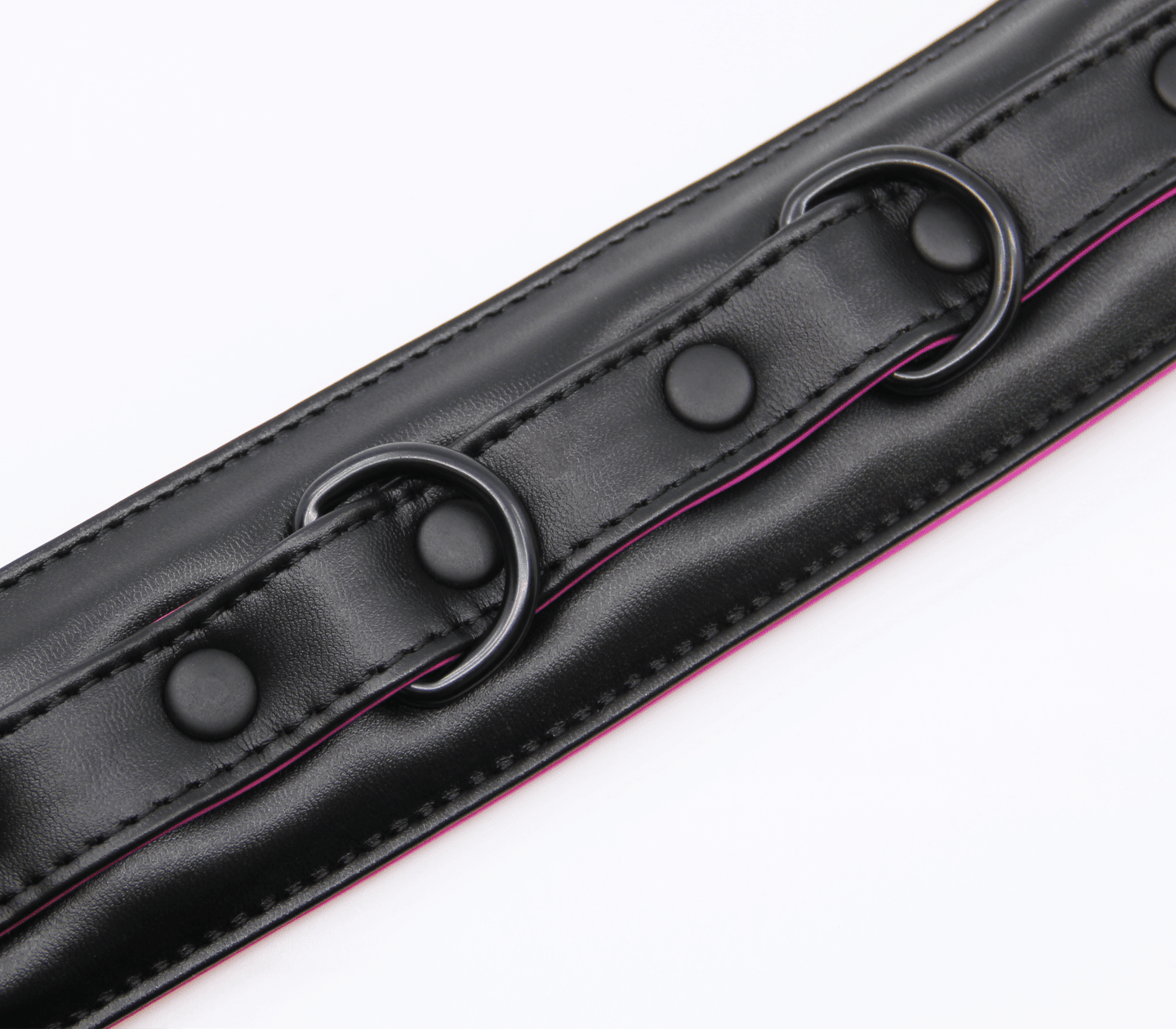 Berlin Baby - Padded Collar And Lead - Black And Pink - divasdenau