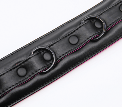 Berlin Baby - Padded Collar And Lead - Black And Pink - divasdenau