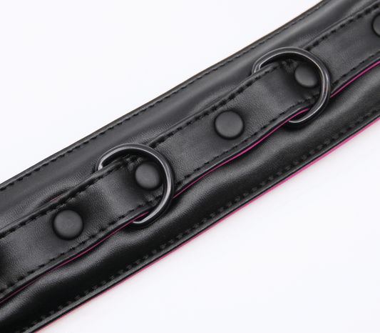 Berlin Baby - Padded Collar And Lead - Black And Pink - divasdenau