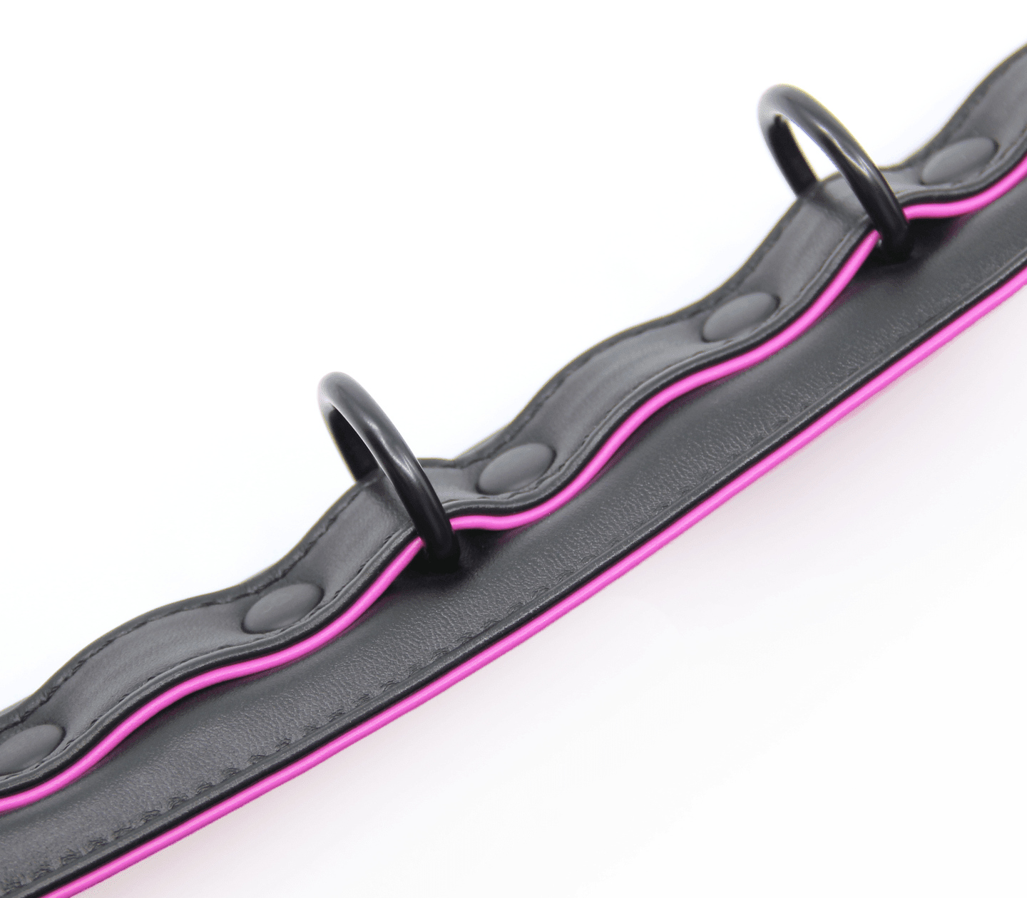 Berlin Baby - Padded Collar And Lead - Black And Pink - divasdenau