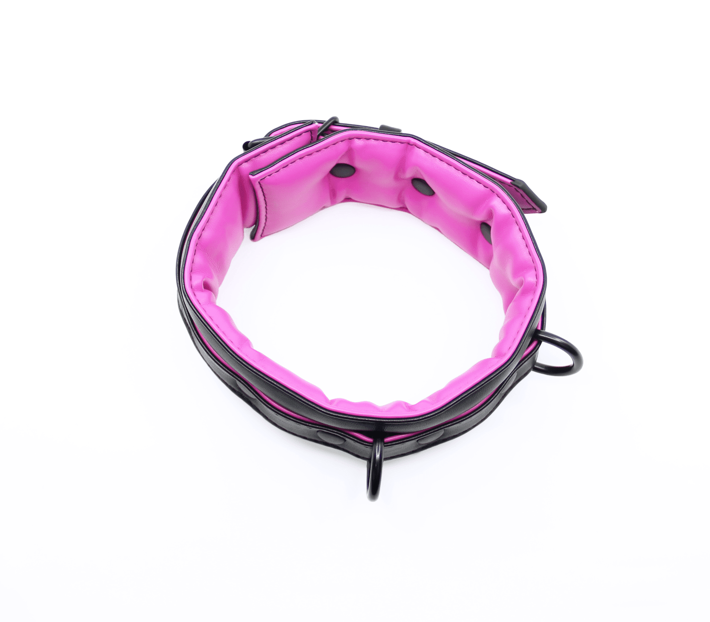 Berlin Baby - Padded Collar And Lead - Black And Pink - divasdenau