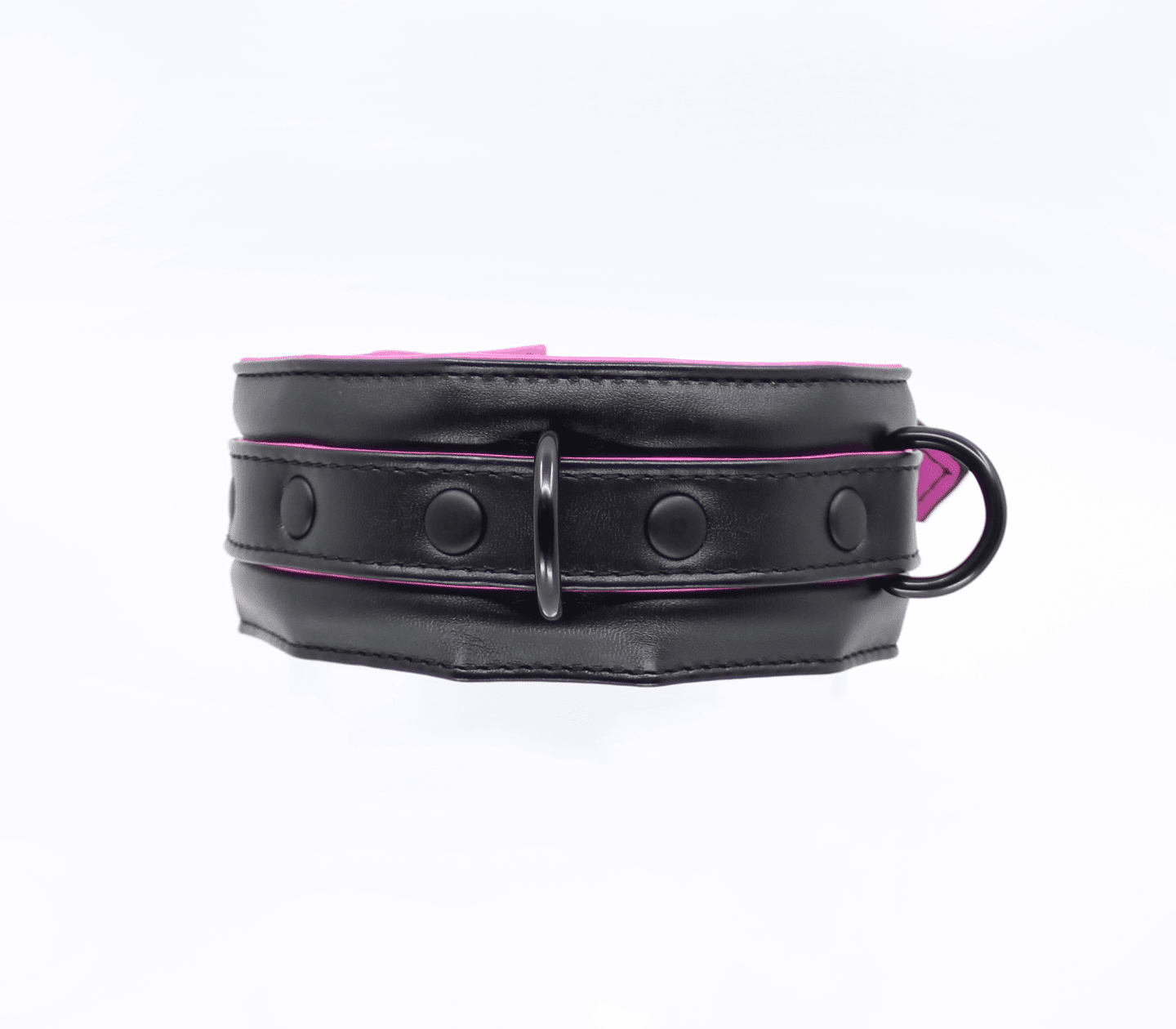 Berlin Baby - Padded Collar And Lead - Black And Pink - divasdenau
