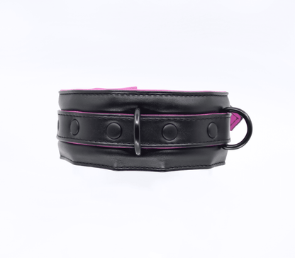 Berlin Baby - Padded Collar And Lead - Black And Pink - divasdenau