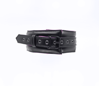 Berlin Baby - Padded Collar And Lead - Black And Pink - divasdenau