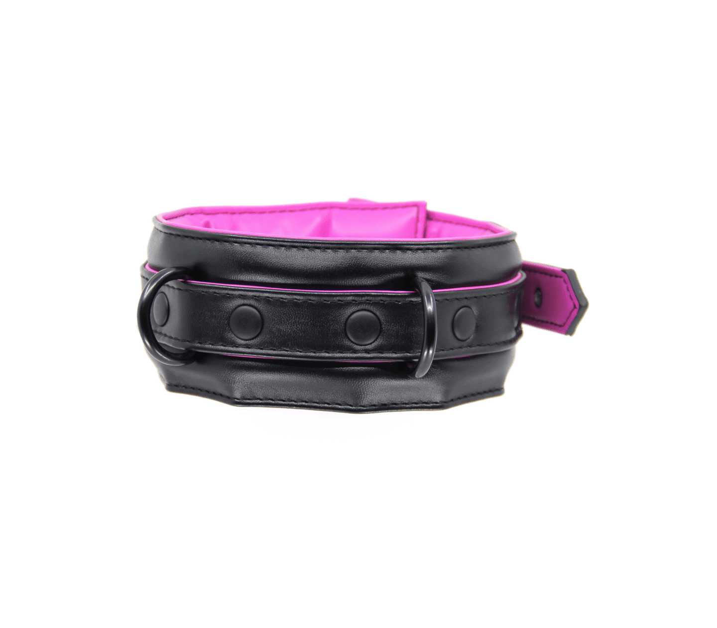 Berlin Baby - Padded Collar And Lead - Black And Pink - divasdenau
