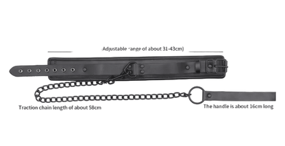 Sponge Leather Collar & Leash - Black & Black Hardware - divasdenau