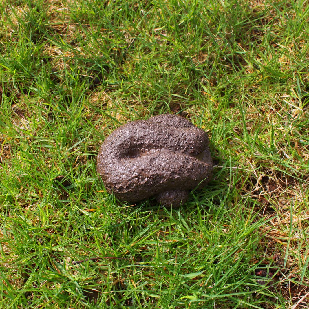 BigMouth - Busters Hide-A-Key Dog Poop - divasdenau