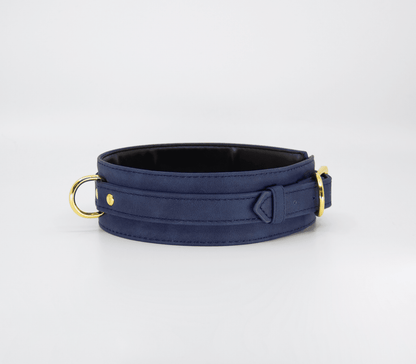 Faux Leather Collar And Lead - divasdenau