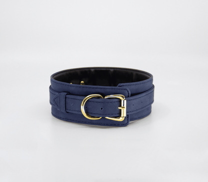Faux Leather Collar And Lead - divasdenau