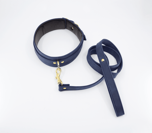 Faux Leather Collar And Lead - divasdenau