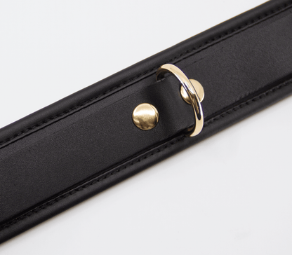 Padded Leather Collar - Gold Hardware - divasdenau