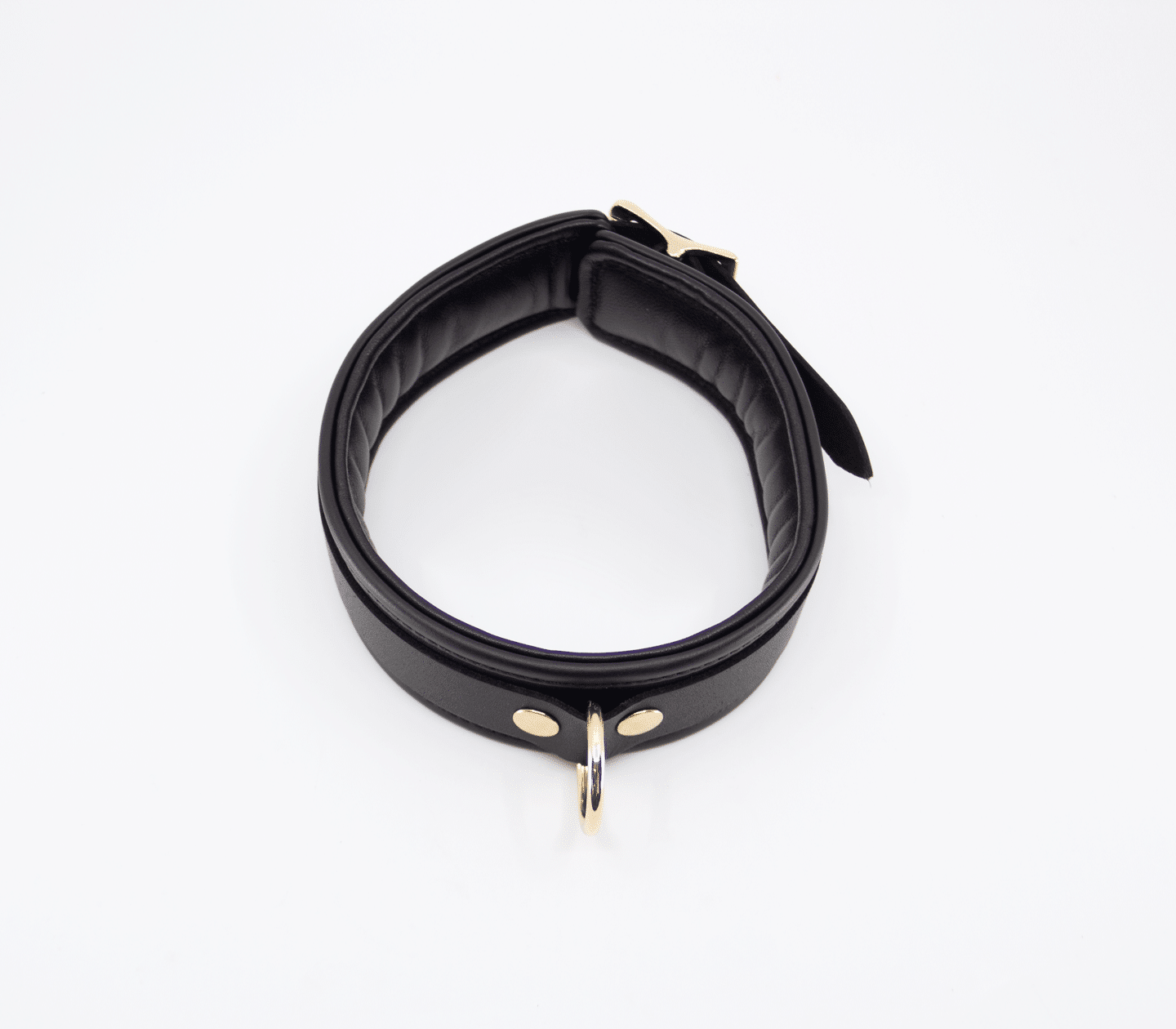 Padded Leather Collar - Gold Hardware - divasdenau