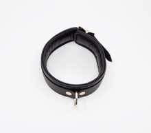 Load image into Gallery viewer, Love in Leather - Padded Leather Collar - Gold Hardware