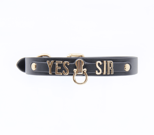 'Yes Sir' Collar - Gold Hardware - divasdenau