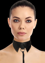 Load image into Gallery viewer, Classic Collar with Leash