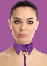 Load image into Gallery viewer, Classic Collar with Leash