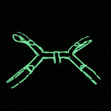 Load image into Gallery viewer, Love in Leather - Glow in the Dark Bulldog Brace