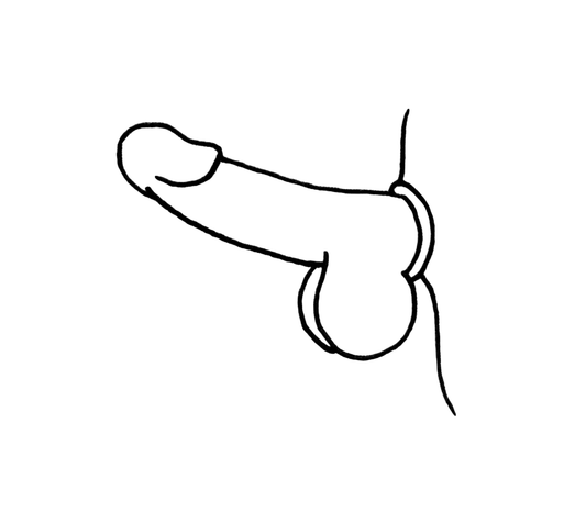 Stainless Steel Rigid Cock Ring - 50mm - divasdenau