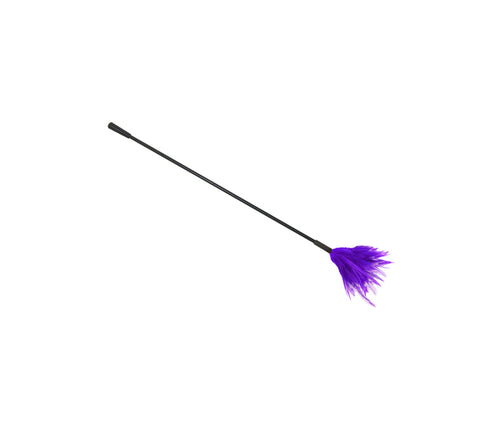 Love in Leather - Feather Tickler with Crop End - Purple